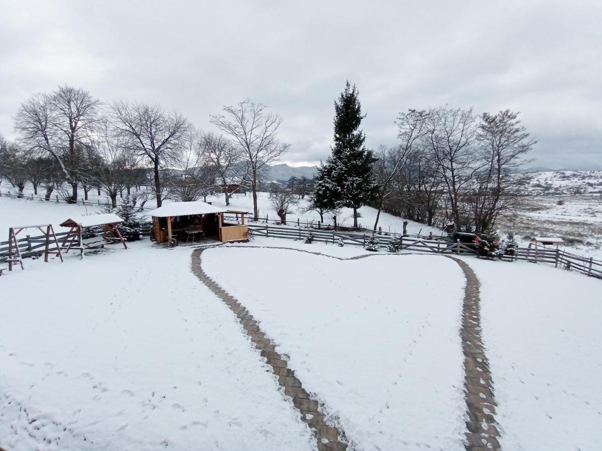 Vila Rem Bran  Exteriér fotografie